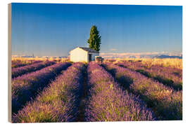 Holzbild Sommer in der Provence