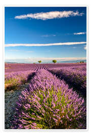 Wandbild  - Achim Thomae