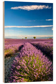 Holzbild  - Achim Thomae