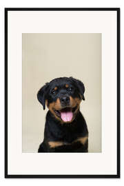 Gerahmter Kunstdruck Portrait eines Rottweiler Welpen