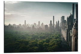 Magnettafel Aussicht auf den Central Park aus dem 20. Stock I