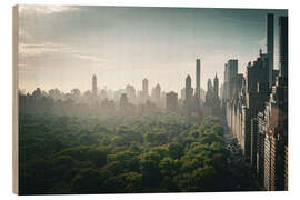 Holzbild Aussicht auf den Central Park aus dem 20. Stock I