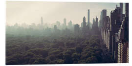 Acrylglasbild Aussicht auf den Central Park