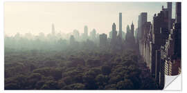 Wandsticker Aussicht auf den Central Park