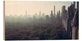 Holzbild Aussicht auf den Central Park