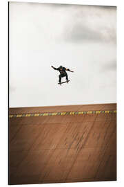 Alubild Skateboardfliegen - Flo Klein