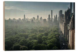 Holzbild Aussicht auf den Central Park aus dem 20. Stock III - Flo Klein