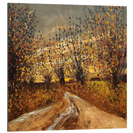 Alubild Sonnenuntergang