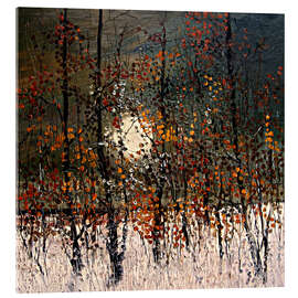 Acrylglasbild Wintermond