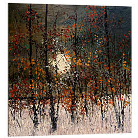 Magnettafel Wintermond