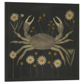 Acrylglasbild Krabbe mit Gänseblümchen