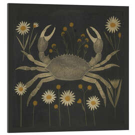 Gallery Print Krabbe mit Gänseblümchen