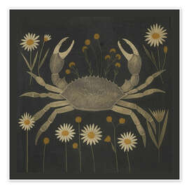 Poster Krabbe mit Gänseblümchen