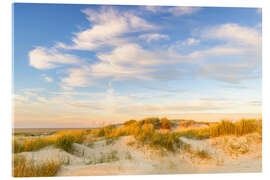 Acrylglasbild Abendlicht über den Nordseedünen - Moqui, Daniela Beyer