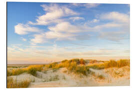Aluminium print Evening light over the North Sea dunes - Moqui, Daniela Beyer