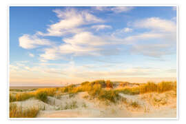 Wandbild Abendlicht über den Nordseedünen - Moqui, Daniela Beyer