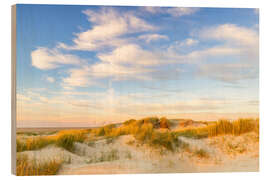 Stampa su legno Evening light over the North Sea dunes - Moqui, Daniela Beyer
