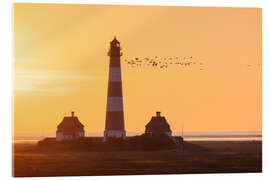 Acrylglasbild Vogelzug am Leuchtturm Westerhever - Moqui, Daniela Beyer