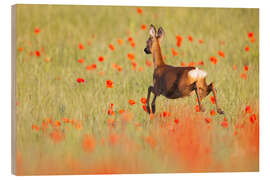 Holzbild Reh im Mohnfeld - Moqui, Daniela Beyer