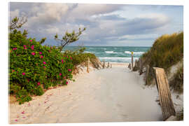 Acrylglasbild Strandzugang zur Ostsee - Moqui, Daniela Beyer