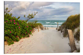 Aluminium print Beach access to the Baltic Sea - Moqui, Daniela Beyer