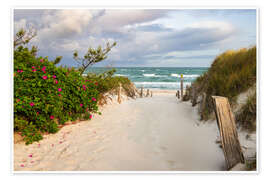 Wandbild Strandzugang zur Ostsee - Moqui, Daniela Beyer