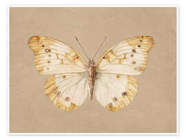 Poster Vintage Schmetterling - TAlex