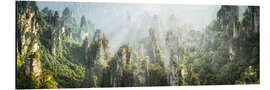 Alubild Zhangjiajie-Nationalpark - Jan Christopher Becke