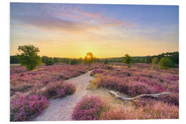 Hartschaumbild Sommerabend in der blühenden Heide