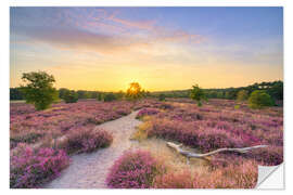 Wandsticker Sommerabend in der blühenden Heide