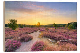Holzbild Sommerabend in der blühenden Heide