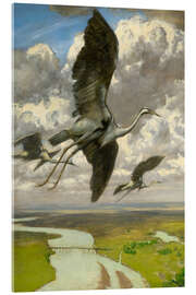 Acrylglasbild Wundersame Vögel