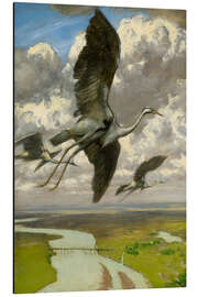 Alubild Wundersame Vögel