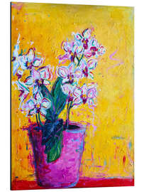 Alubild Orchideen - Dawn Underwood