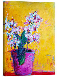 Leinwandbild Orchideen