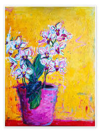 Poster Orchideen