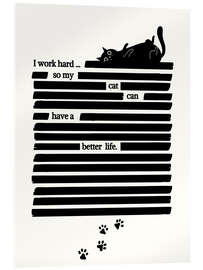 Acrylglasbild Cat Life