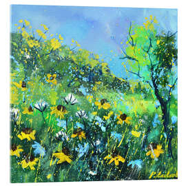 Acrylglasbild Morgen Wildblumen - Pol Ledent