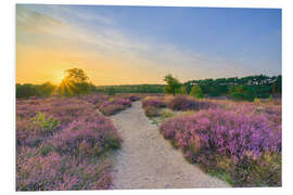 Hartschaumbild Abends in der blühenden Heide