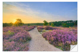 Wandsticker Abends in der blühenden Heide
