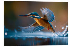 Hartschaumbild Eisvogel am Fluß