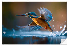 Wandsticker Eisvogel am Fluß