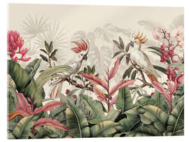 Acrylglasbild Kakadus im Vergessenen Paradies - Andrea Haase