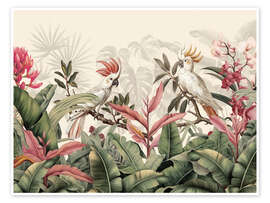 Poster Kakadus im Vergessenen Paradies - Andrea Haase