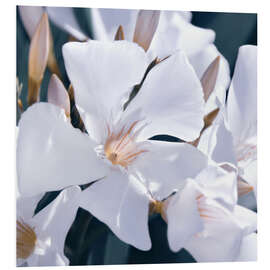 Hartschaumbild Weißer Oleander