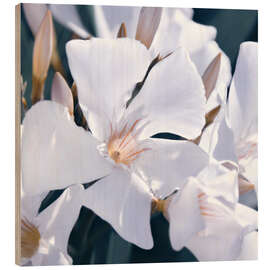 Holzbild Weißer Oleander