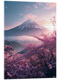 Acrylglasbild Berg Fuji im Frühling - Nikita Abakumov