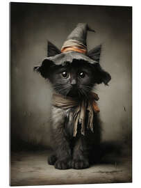 Acrylglasbild Niedliche Schwarze Katze