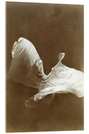Acrylglasbild Loïe Fuller tanzt mit ihrem Schleier
