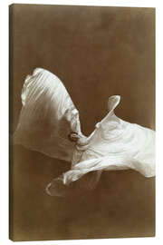 Leinwandbild Loïe Fuller tanzt mit ihrem Schleier